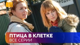Птица в Клетке
