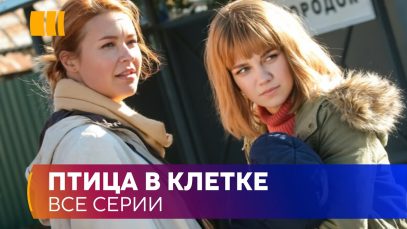Птица в Клетке